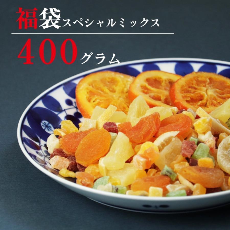 大地の生菓 ドライフルーツ 福袋 送料無料 フルーツ ミックス 400g パイナップル キウイ フルーツティー クリスマス ギフト プレゼント 2023