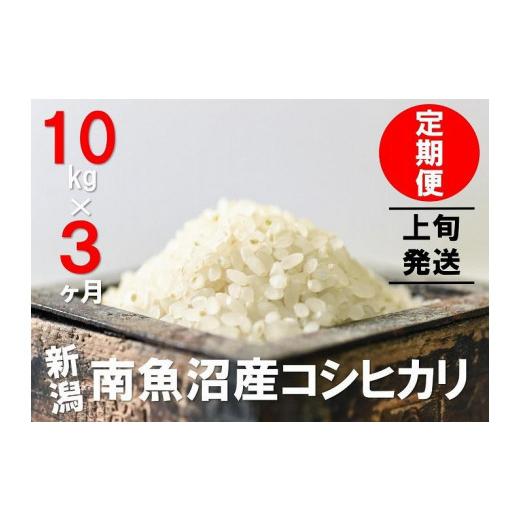 ふるさと納税 新潟県 南魚沼市 10kg×3ヶ月　南魚沼産コシヒカリ