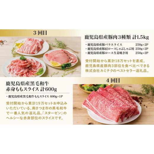 ふるさと納税 鹿児島県 南さつま市 畜産王国 鹿児島の厳選 お肉 4種（全4回）