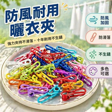 台灣出貨✨ 不鏽鋼晾衣夾 無痕防風夾 馬卡龍零食封口夾 彩色曬衣夾 戶外多功能夾