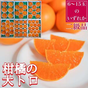 定期便 貯蔵 はっさく ＆ ハウス せとか 全2回 南泰園  二級品 セット みかん