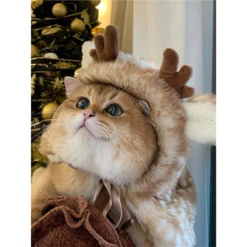 馬爾濟斯衣服狗狗麋鹿披風寵物貓咪西施犬博美圣誕節裝扮保暖斗篷