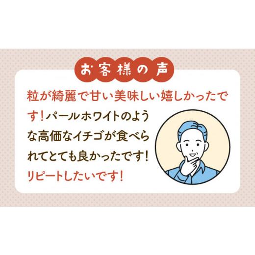 ふるさと納税 佐賀県 白石町 紅白いちご「いちごさん」＆「パールホワイト」化粧箱 約330g以上 [IBG001]