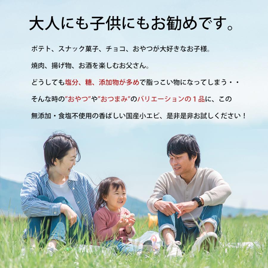 干しエビ 国産 無添加 65g 業務用 家庭用 無着色 中華 大人 おつまみ 子供 おやつ 乾燥 えび 素干し あきあみ 65g × 1袋 チャック付タイプ