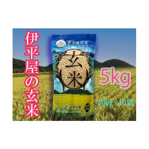 ふるさと納税 沖縄県 伊平屋村 伊平屋の玄米 5kg（500g×10袋）