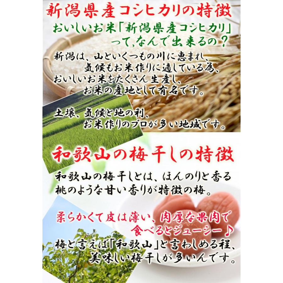 梅がゆ250ｇ (たいまつ食品) 和歌山県産梅干 低カロリー レトルト おかゆ ダイエット 新潟県産こしひかり コシヒカリ 国内産