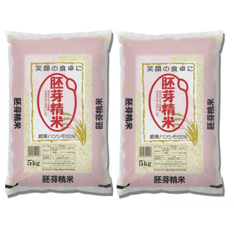 米 お米 胚芽精米 10kg （5kg×2） ハツシモ　岐阜県産　令和5年産