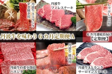 丹波牛を味わう 定期便Ａ 丹波牛定期便 食べ比べ定期便 牛肉定期便 焼肉 すき焼き しゃぶしゃぶ 定期便 ブロック 肉 A5 ランク 牛 冷凍 定期便 京都 京丹波町 定期便 [210IZ001R]