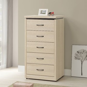 MUNA家居  808型2尺小五斗櫃/香檳金色  60X49X114cm