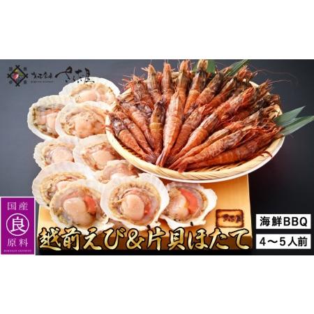 ふるさと納税 海鮮 BBQ おつまみセット「越前えび ＆ 片貝ほたて」約4〜5人前（越前えび500g 片貝ほたて10枚） [e04-a063] 福井県越前町