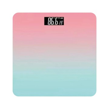 其他檢測用品 智能漸層體重計 2入