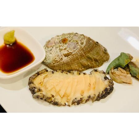 ふるさと納税 あわび（蒸し）50g×10粒 海の幸  静岡県静岡市