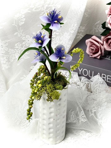 紫露草小盆栽 居家 店面 擺飾 擺件 家飾 禮物