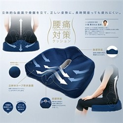 【現貨馬上出貨】日本COGIT腰痛對策W型機能紓壓坐墊/居家/車用/辦公室/紓壓(棕色/藍色)