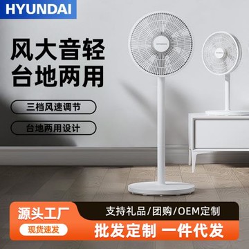 家用電風扇臺地兩用三檔遙控定時8m遠距送風輕音省電PP搖頭落地扇