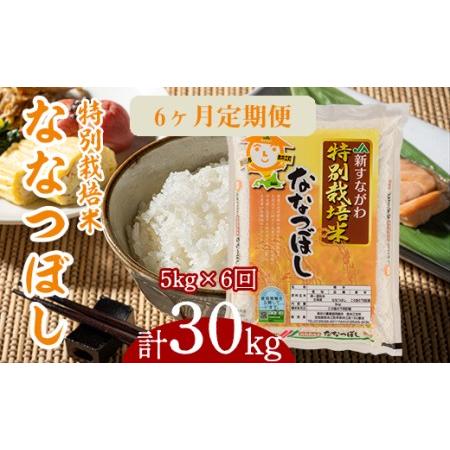 ふるさと納税 『特別栽培米ななつぼし5kg』定期便！毎月1回・計6回お届け 北海道奈井江町