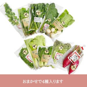 ふるさと納税 有機野菜おまかせ4種セット０６ 山梨県北杜市