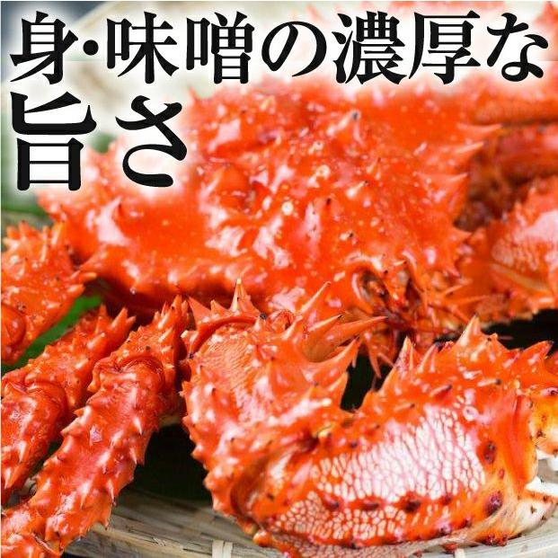 ボイル花咲ガニ オス マルナカイチ杉山水産／北海道根室市｜北海道産蟹 カニ 魚介類、海産物 かに