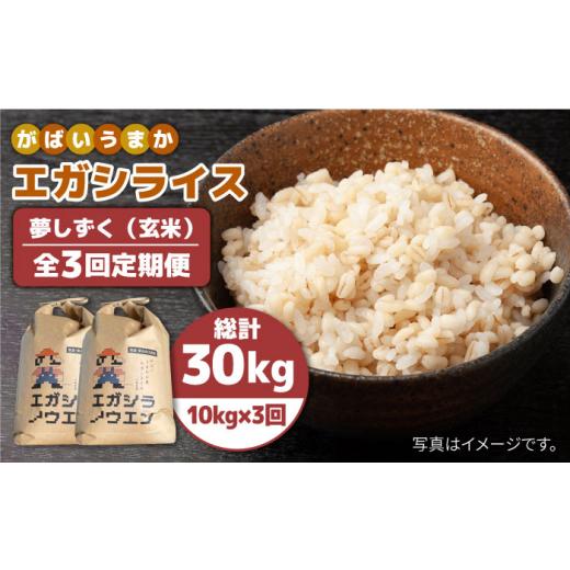 ふるさと納税 佐賀県 江北町 がばいうまか エガシライス 夢しずく 玄米 10kg 5kg×2袋  [HAU009]