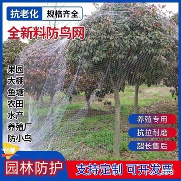 果樹防鳥網 櫻桃樹枇杷樹嘉寶樹防鳥罩尼龍網 葡萄園擋鳥攔鳥網子 2Y WAUA