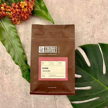 【TRIBO COFFEE】肯亞 祈安布 烏克栗栗 水洗 淺焙咖啡豆 (半磅/225克)