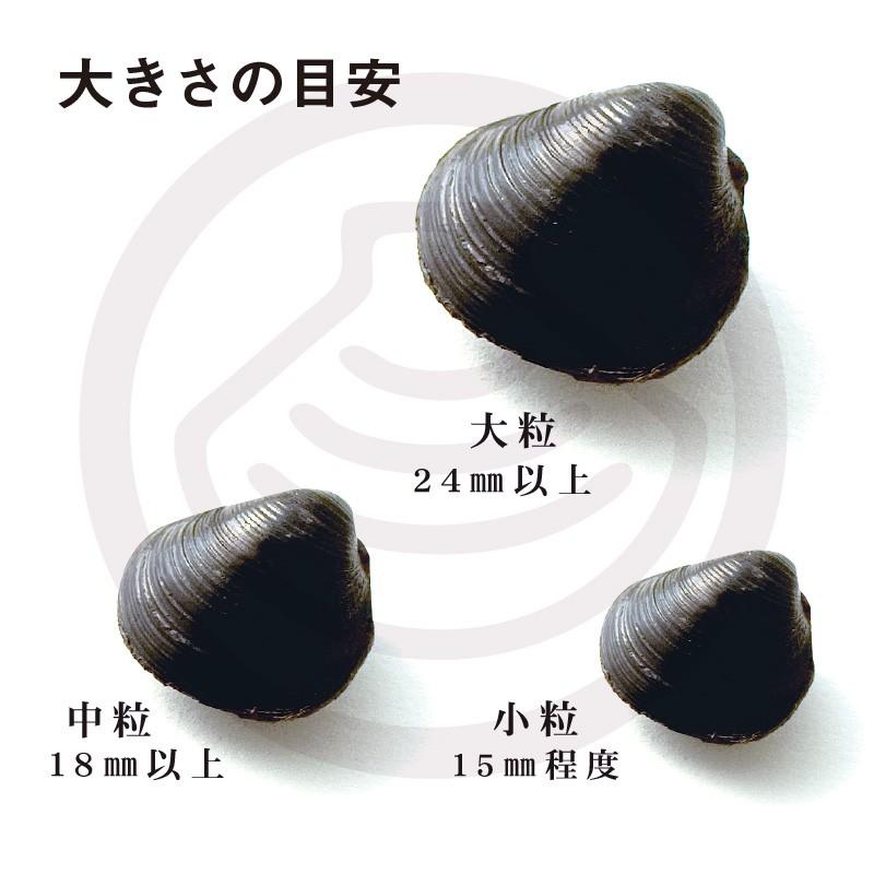 しじみ シジミ 蜆 十三湖 津軽  青森 冷凍　十三湖産冷凍しじみ  中粒 800g（200g×4袋）