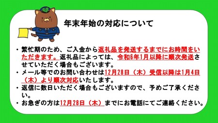 シャインマスカットと種なしピオーネのセット　２房　　[山梨 シャインマスカット　ピオーネ】