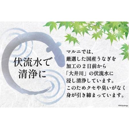 ふるさと納税 国産うなぎ蒲焼・2尾セット [マルニうなぎ加工 静岡県 吉田町 22424067] 静岡県吉田町