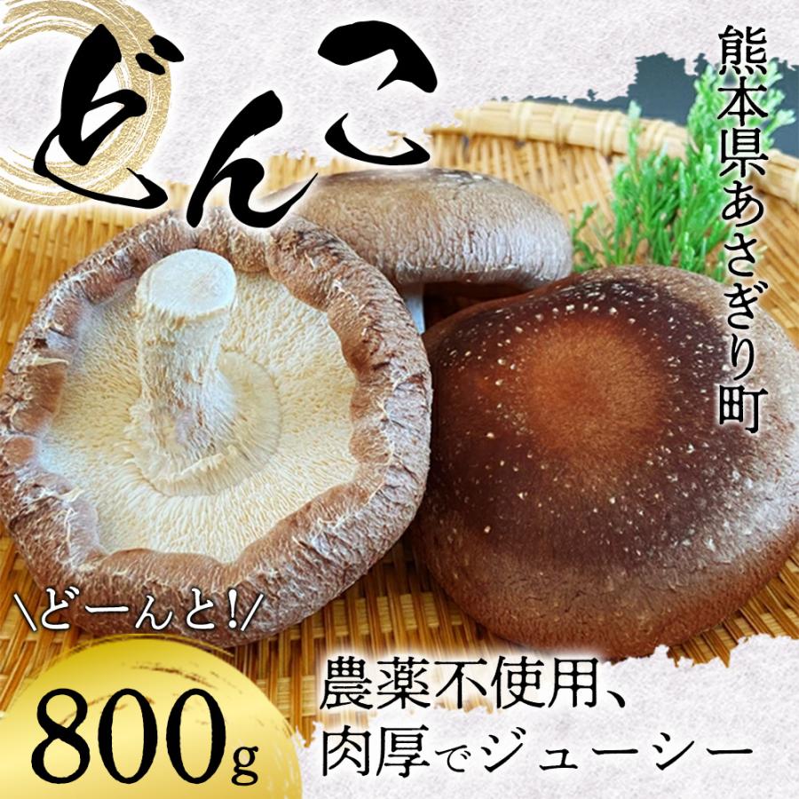 熊本県産 ステーキなどんこギフトBOX（国産 農薬不使用 しいたけ 肉厚 プレゼント）