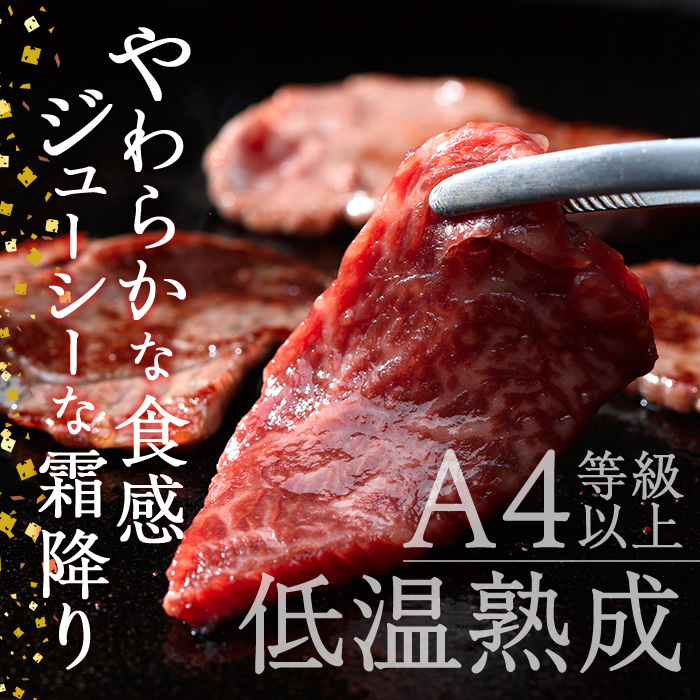 おおいた和牛 赤身 焼肉 2種セット (合計550g・特選赤身焼肉250g 赤身焼肉300g) 国産 牛肉 肉 霜降り 低温熟成 A4 和牛 ブランド牛 BBQ 冷凍 大分県 佐伯市 