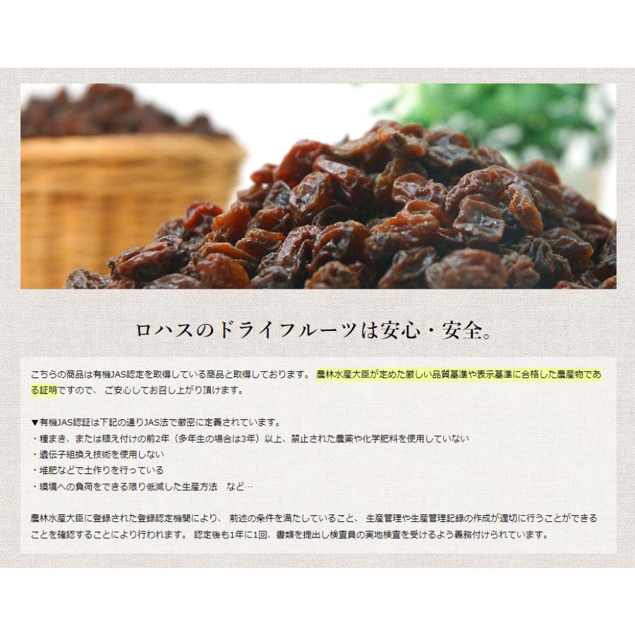 オーガニック・レーズンミックス450g スーパーフード・ローフード対応 無農薬・無添加 有機JAS認証