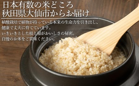 令和５年産 新米「特別栽培米あきたこまち　大地の響　玄米１０kg」秋山商店