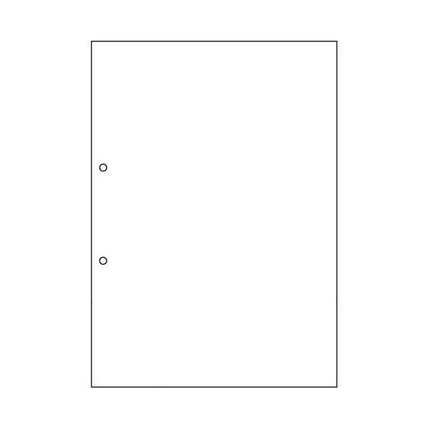 （まとめ）ヒサゴ マルチプリンタ帳票 撥水紙 A4 白紙 2穴 BPW2001 1冊（50枚） 〔×5セット〕