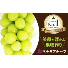 シャインマスカット　約1.1kg以上(2～3房入)朝採り産地直送