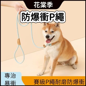 牽引繩 精緻尼龍反光牽引繩 防暴沖 防掙脫 寵物胸背帶 遛狗繩 遛貓繩 牽繩 狗狗牽引繩 寵物牽引繩