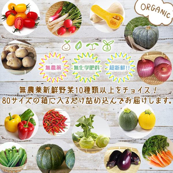 和歌山から直送！おまかせ 無農薬 旬野菜セット 10種類以上［送料無料］※内容の指定不可  ■期日指定不可・発送翌日受取限定 ※お届け時間帯にご注意ください■