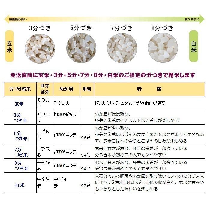 米5kg お米 仁多米 5年産 島根産 出雲國 和牛堆肥