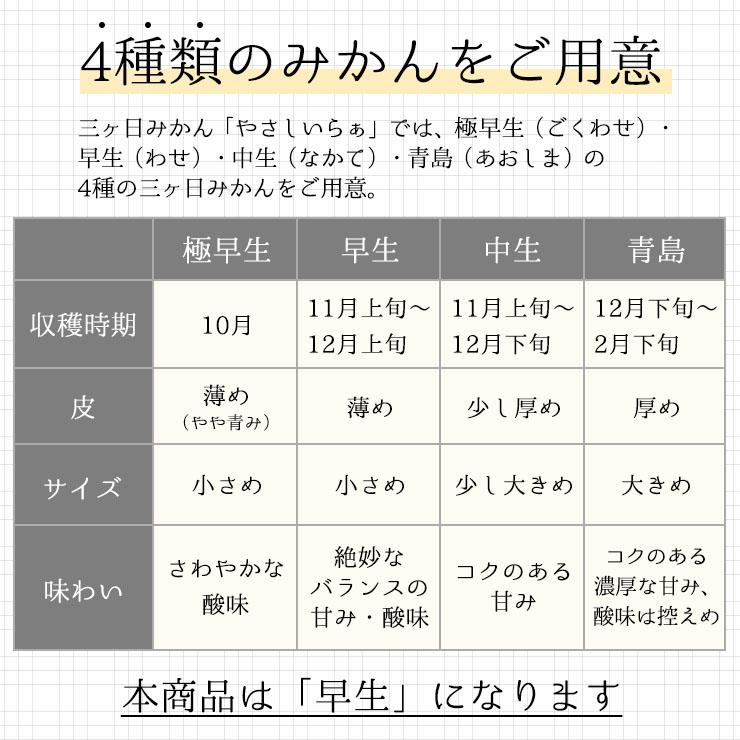  低農薬 有機栽培 三ヶ日 早生 みかん 10kg 送料無料 訳あり やさしいらぁ 3S 〜 3L サイズ不揃い 特別栽培 有機肥料 三ヶ日みかん 産地直送 農家直