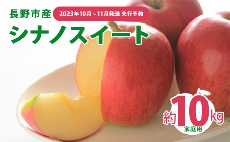 先行予約 長野市産シナノスイート家庭用 約10kg 2024年10月中旬～11月中旬発送 ※オンライン決済限定