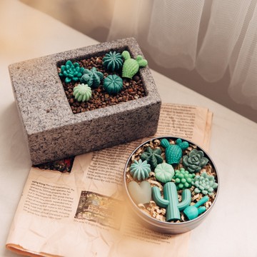 【禾日香氛】多肉植物造型手工皂【大盒】