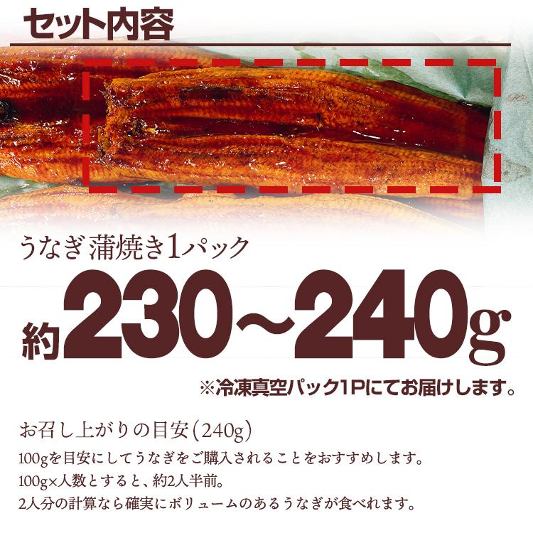 鰻 特大サイズ 国産 蒲焼き うなぎ ウナギ 丑の日 豊洲市場よりお届けいたします ギフト