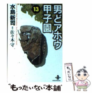  男どアホウ甲子園 13 (秋田文庫)   水島新司、佐々木守   秋田書店 [文庫]