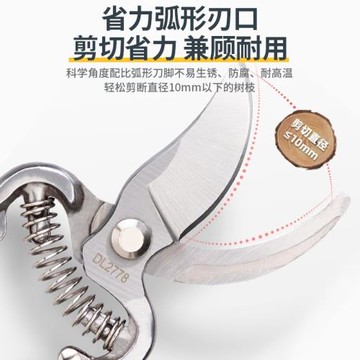 德國品質樹枝園藝剪樹枝專用剪刀修枝剪園林果樹粗枝修花省力剪子