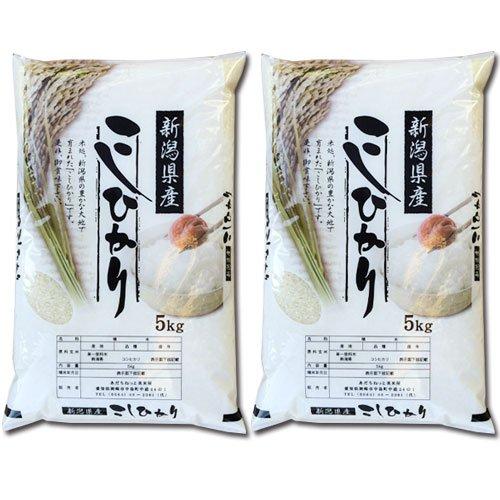 新米 新潟県 白米 こしひかり 5kg×2 令和5年産