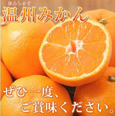 ふるさと納税 湯浅町 完熟 有田みかん　主に2Lサイズ　10kg