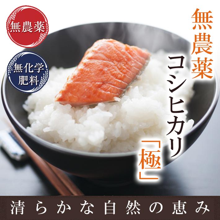 無農薬  米 2kg 無農薬 コシヒカリ 極 令和5年福井県産 新米入荷 送料無料 無農薬・無化学肥料栽培 玄米