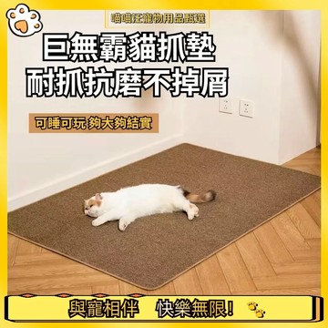 【喵喵汪甄選】🐱巨無霸貓抓墊 劍麻貓抓墊 貓抓板 可水洗寵物地毯 仿劍麻地毯 貓抓板地毯 貓抓地墊巨無霸劍麻貓抓地墊