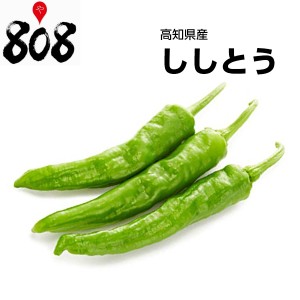 ししとう　大きさお任せ　1パック旬の味覚 グルメ 野菜 セット 詰め合