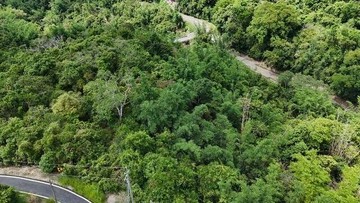 近曾文水庫觀光區都內農地｜嘉義縣大埔鄉大埔段