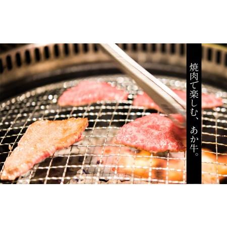 ふるさと納税 肥後の赤牛　焼肉用 500g 熊本県和水町